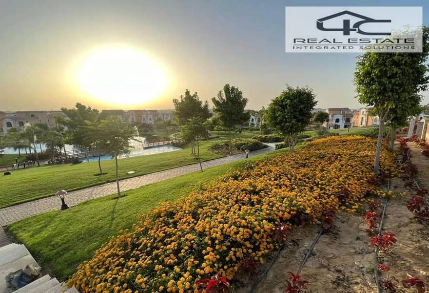 10 6414845-89fa5o. png