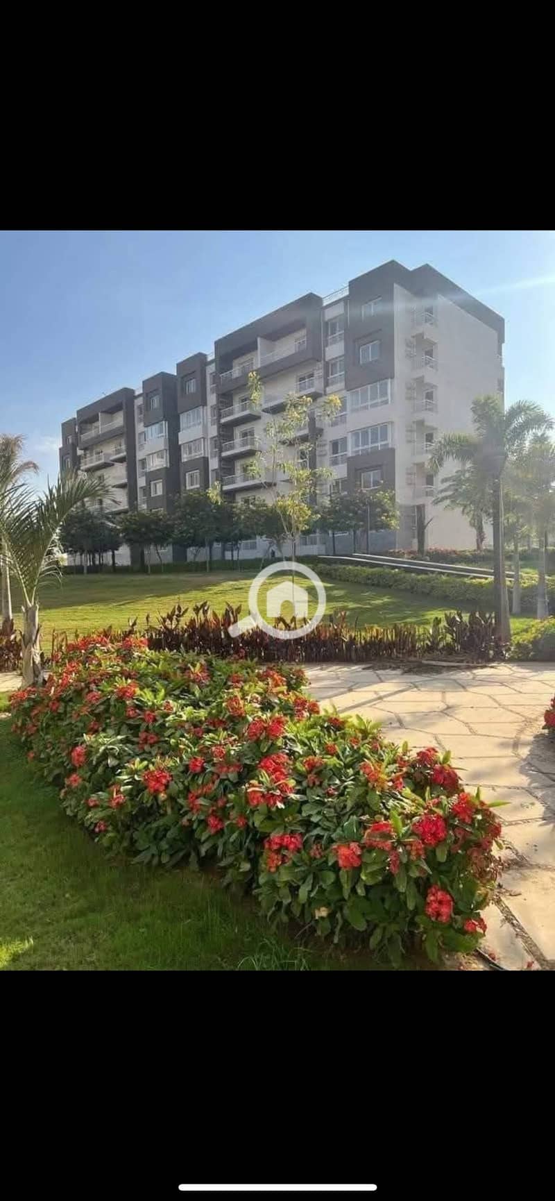 IMG_7419. png IMG_7419. png