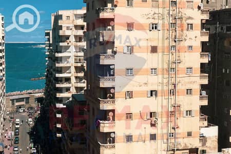 2 Bedroom Apartment for Sale in Miami, Alexandria - WhatsApp Image 2025-10-12 at 5.46. 21 PM. JPG