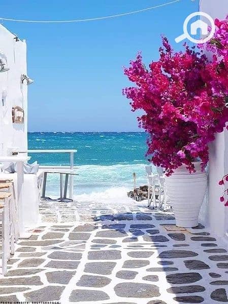 3 WhatsApp Image 2025-10-15 at 11.38. 44 AM. jpeg