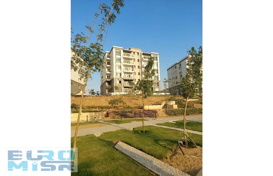 4 Copy of c2f3fe59-dca6-4271-99b5-736af8ad5af3 (1). jpg