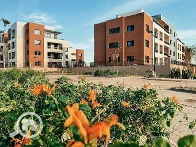 فلیٹ 2 غرفة نوم للبيع في القاهرة الجديدة، القاهرة - WhatsApp Image 2025-10-15 at 12.30. 17 PM. jpeg