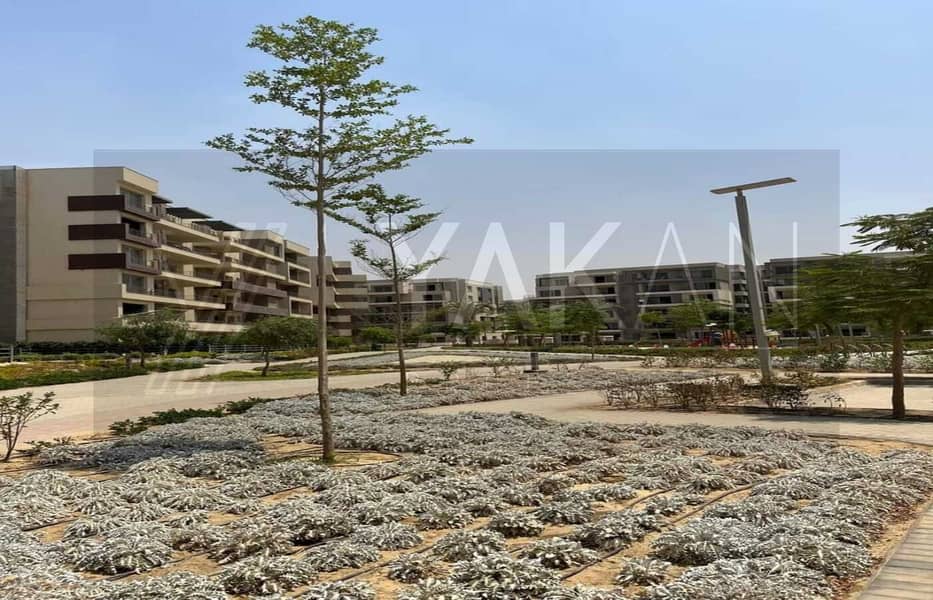 4 WhatsApp Image 2024-09-17 at 3.07. 40 PM (2). jpeg