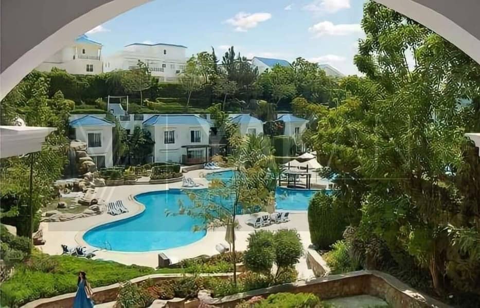 5 WhatsApp Image 2024-07-28 at 1.33. 10 PM. jpeg