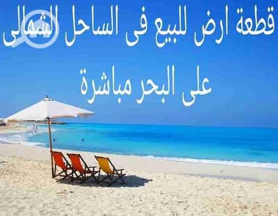 Residential Land for Sale in North Coast, Matruh - 1000215858. jpg