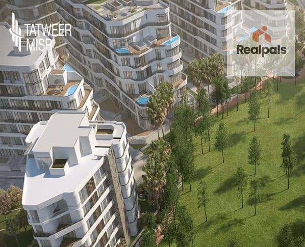 6 بلومفيلدز-e1724343904491. png