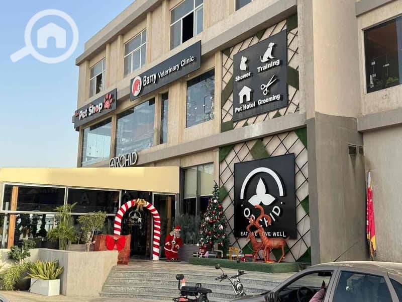 7 413b1142-18a3-48d0-80c3-2943832b9d4b. jpg