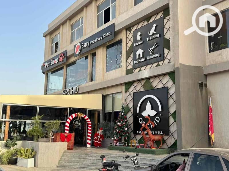 11 413b1142-18a3-48d0-80c3-2943832b9d4b. jpg