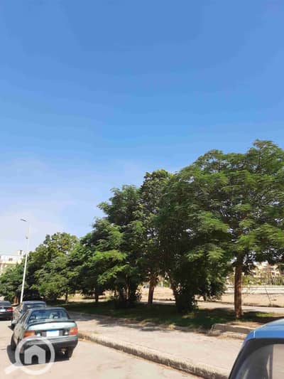 3 Bedroom Flat for Sale in New Cairo, Cairo - ٢٠٢٥١٠١٣_١٤٣٠٢٦. jpg