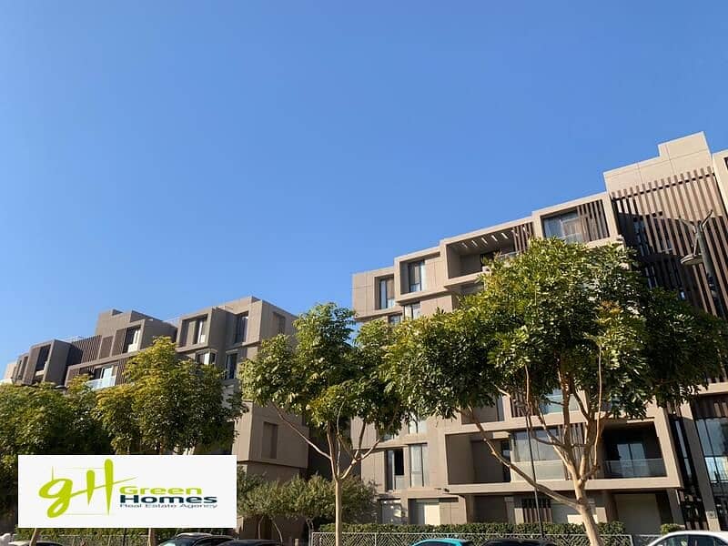 3 WhatsApp Image 2024-02-19 at 2.48. 16 PM (2). jpeg