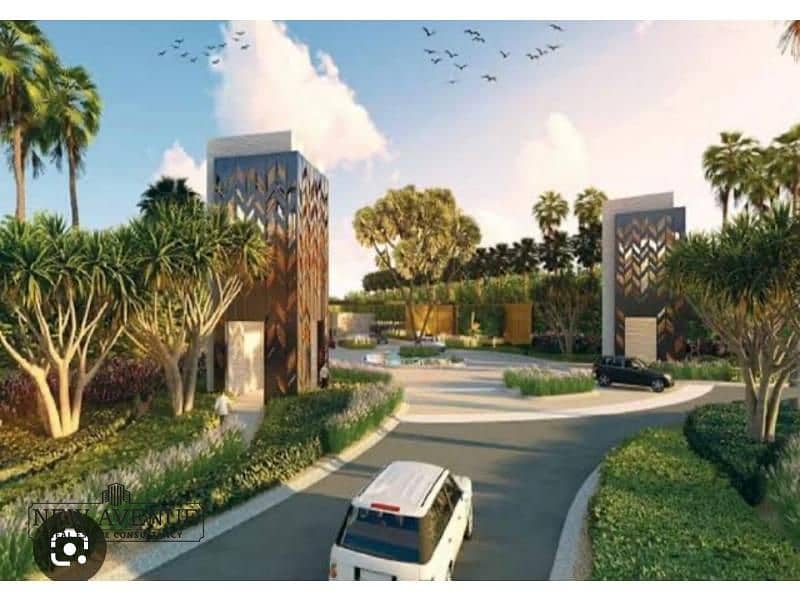 6 IMG-20251012-WA0074. jpg