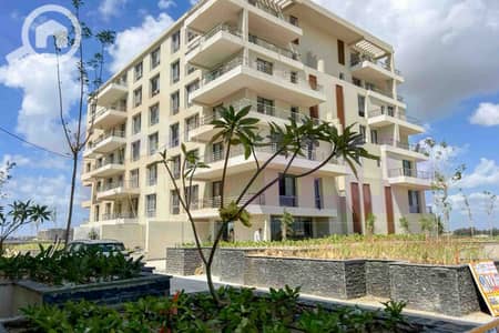 3 Bedroom Flat for Sale in Amreya, Alexandria - IMG-20251007-WA0046. jpg