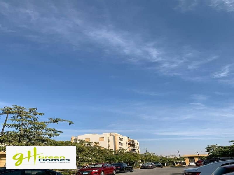 12 WhatsApp Image 2024-02-19 at 2.48. 47 PM (2). jpeg