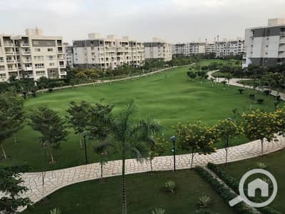 3 Bedroom Flat for Rent in Madinaty, Cairo - WhatsApp Image 2025-10-15 at 2.21. 28 PM. jpeg