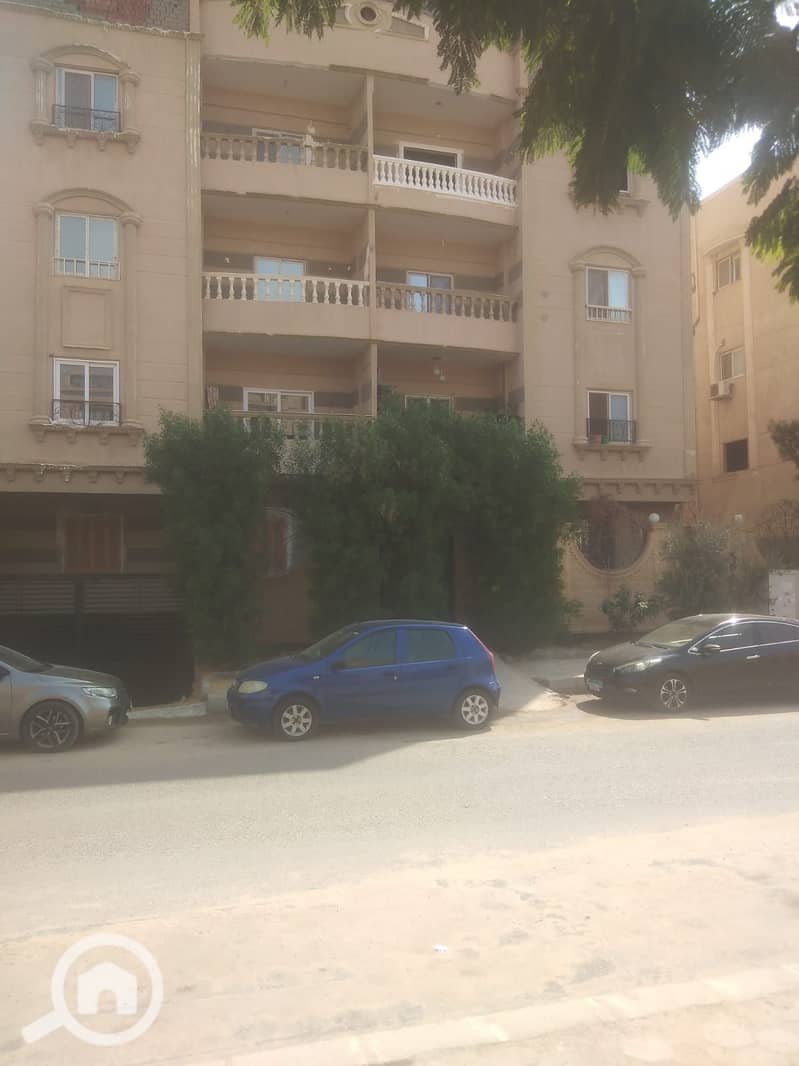 9 211. jpg