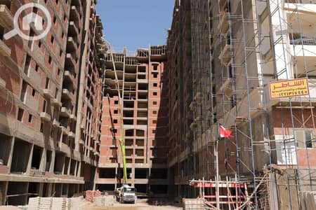 3 Bedroom Flat for Sale in Smoha, Alexandria - 8W6A8225-min. JPG