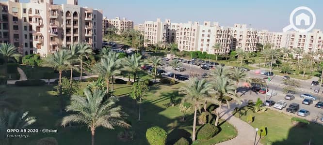 فلیٹ 2 غرفة نوم للايجار في القاهرة الجديدة، القاهرة - 4413d096-0c5d-4803-8233-77ceceb85b83. jpeg
