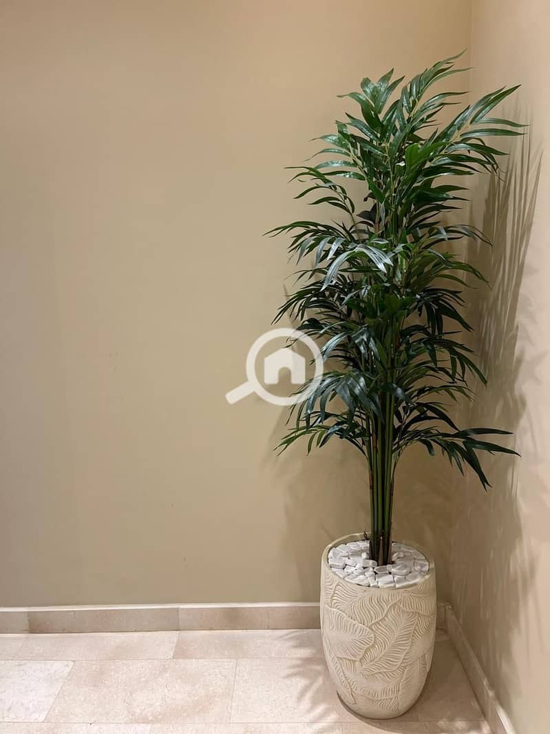 8 WhatsApp Image 2025-10-15 at 12.12. 11 (3). jpeg