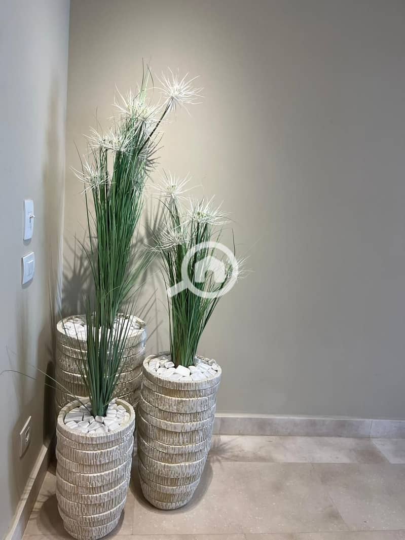 18 WhatsApp Image 2025-10-15 at 12.12. 14 (3). jpeg