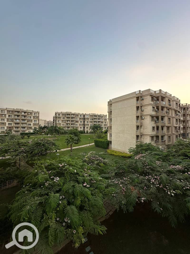 1000469345. jpg 1000469345. jpg