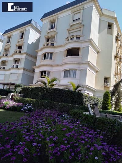 3 Bedroom iVilla for Rent in New Cairo, Cairo - _files_IMG-20250211-WA0066. jpg