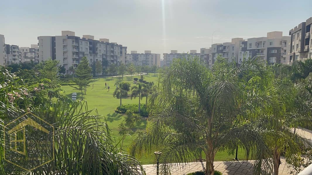 IMG-20251002-WA0407. jpg IMG-20251002-WA0407. jpg