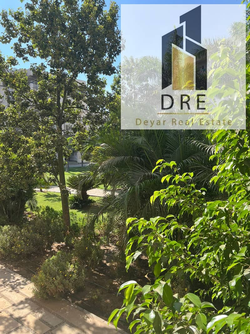 5 9c61396f-186f-4cfa-a1c7-79b0e12b86ac. jpg