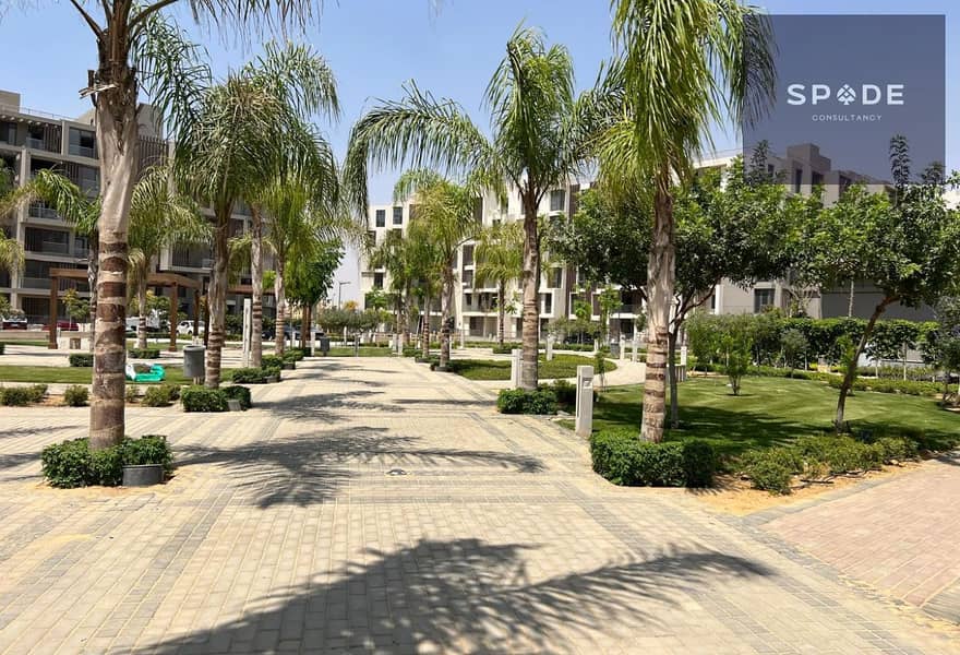 5 55da312b-3a34-48c9-9eb8-081c2f93e841. jpg