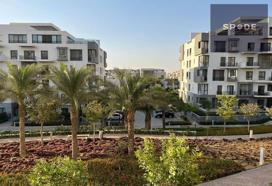 7 cc966eb5-65d6-46fd-ae5d-be8777f002a1. jpg