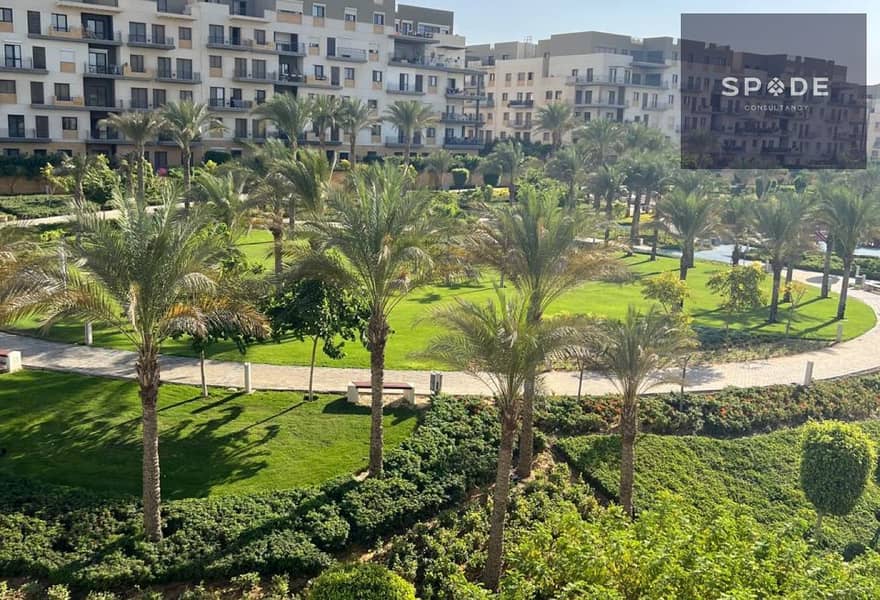 8 d0c659c0-3ffa-4abb-b6e2-e42e3ad77ba0. jpg