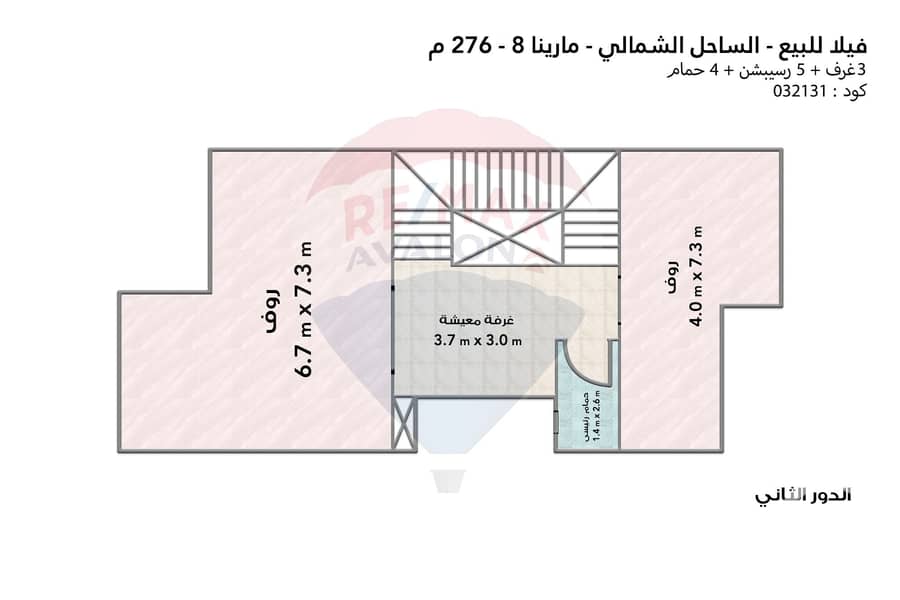 7 7. jpg