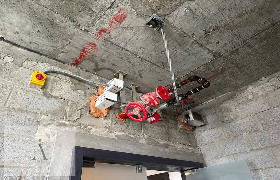 7 photo_2_2024-12-02_14-48-48. jpg