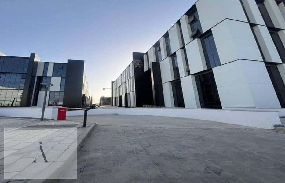 4 photo_3_2024-11-26_11-29-06. jpg