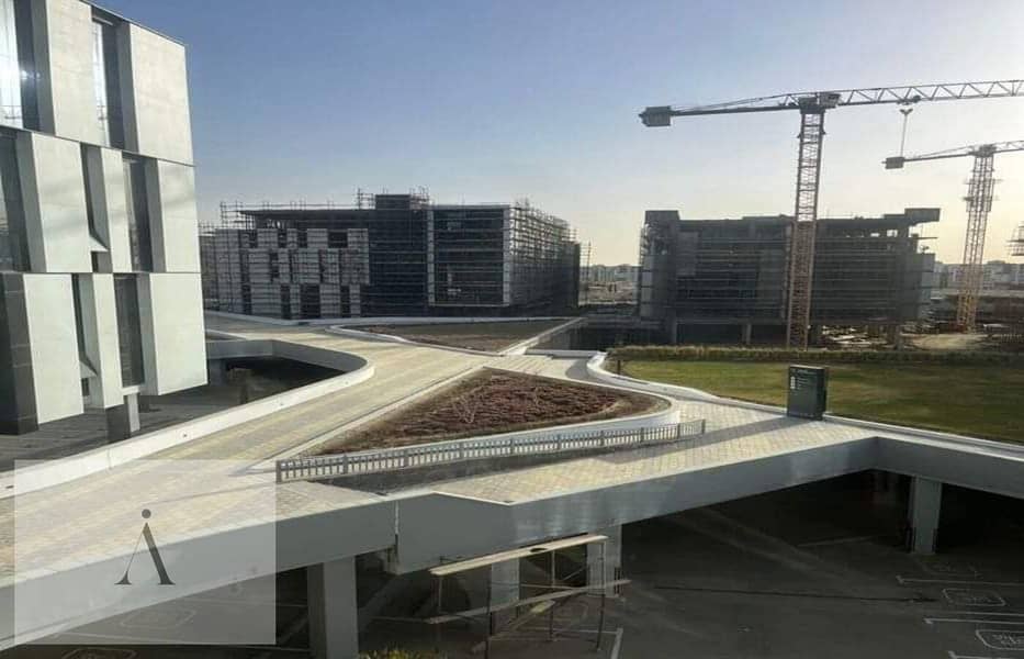 5 photo_4_2024-11-26_11-29-06. jpg