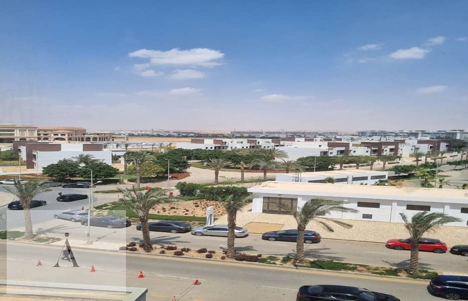 4 photo_1_2025-10-14_12-52-04. jpg