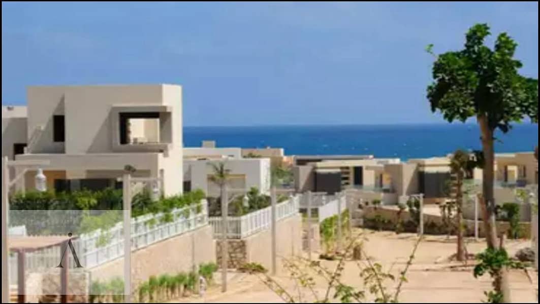 2 WhatsApp Image 2025-06-19 at 2.08. 01 PM (1). jpeg