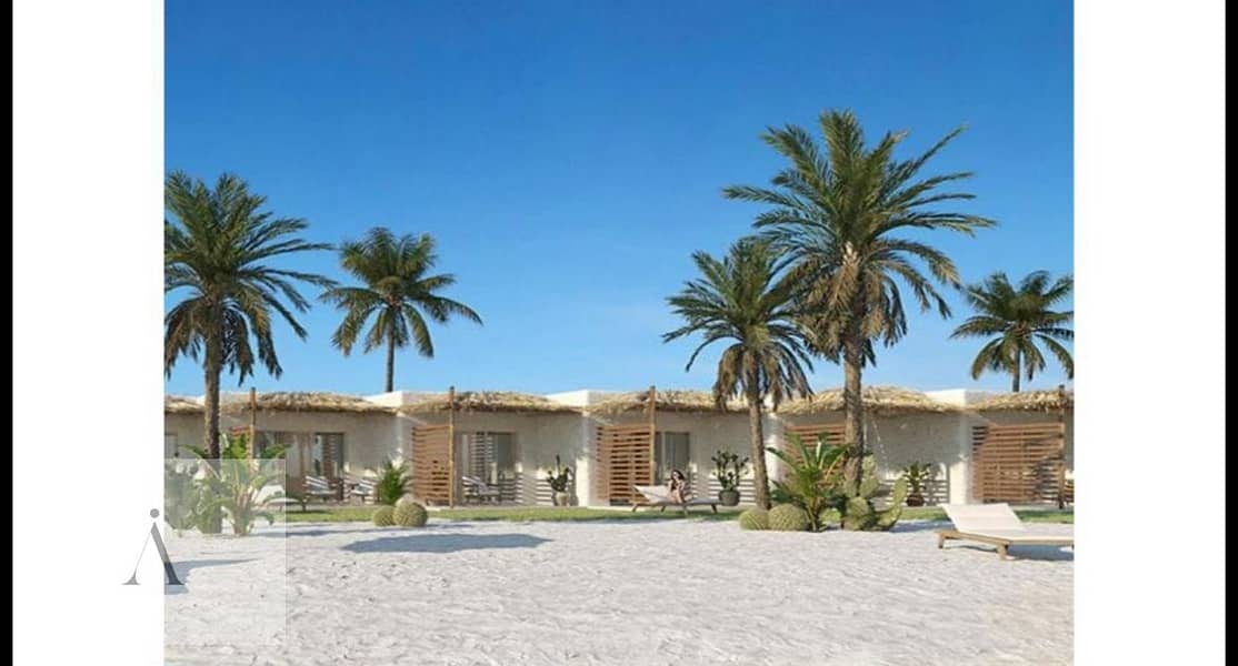 4 WhatsApp Image 2025-06-19 at 2.08. 01 PM (3). jpeg