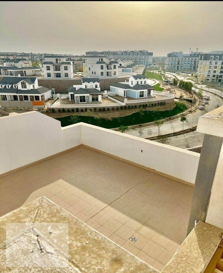 4 WhatsApp Image 2025-08-31 at 10.49. 01 AM. jpeg