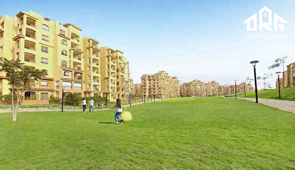 7 مدينتي-2. jpg