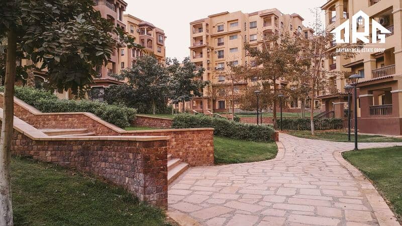 9 Mad2-1-800x450. jpg