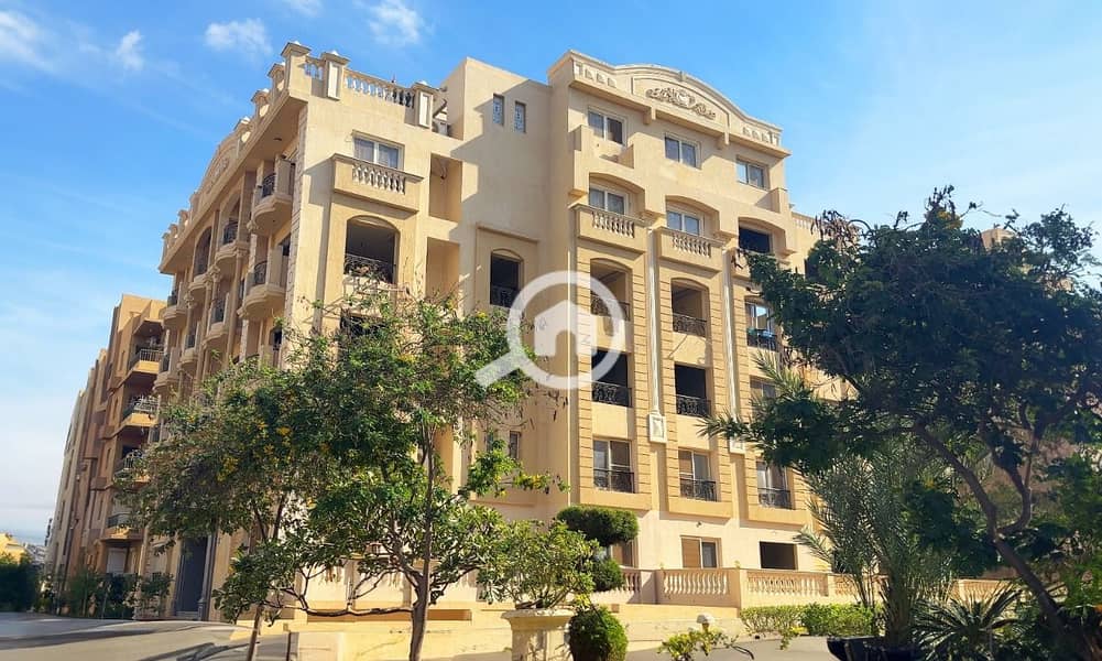 8 WhatsApp Image 2025-10-15 at 4.20. 28 PM (4). jpeg