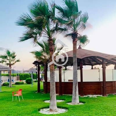 3 Bedroom Chalet for Sale in North Coast, Matruh - 12. jpg