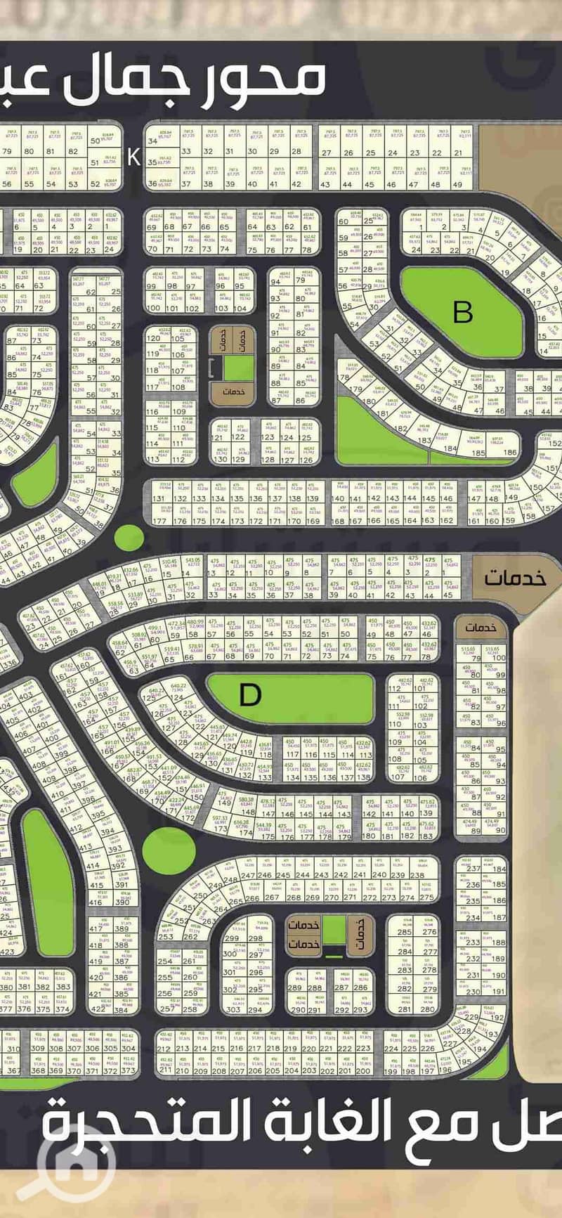 5 1000558157. jpg