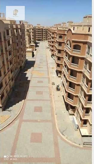 5 IMG-20251011-WA0665. jpg