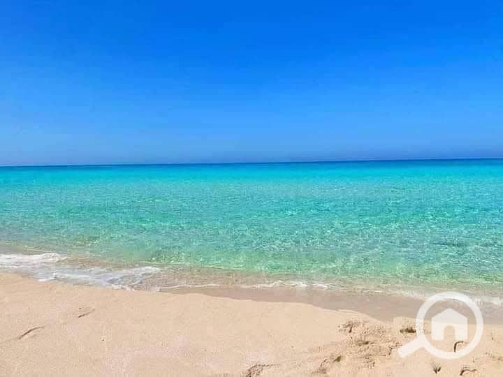 4 IMG-20251015-WA0087. jpg