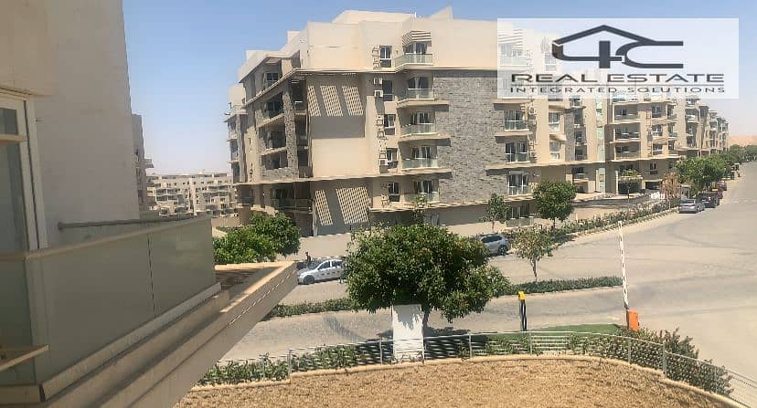 3 WhatsApp Image 2025-10-13 at 16.23. 30 (3). jpeg