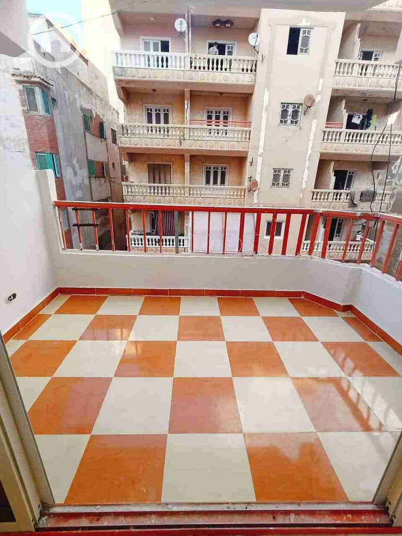 8 1000095149. jpg