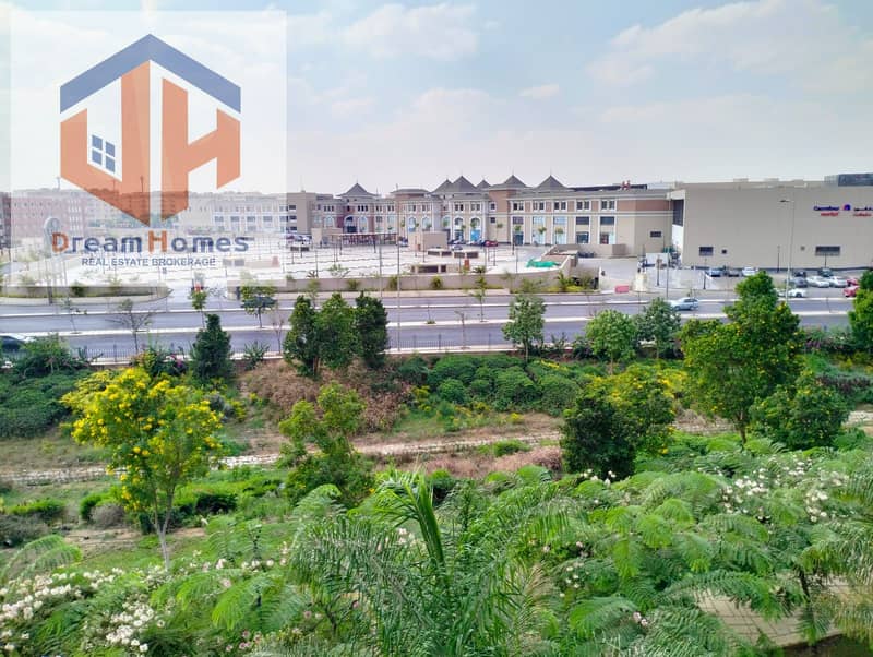 WhatsApp Image 2025-10-15 at 16.24. 53_9349fd7a. jpg