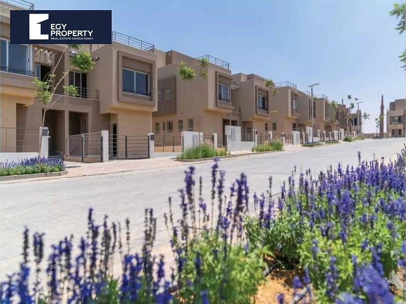 10 02155343-0b7e-431e-b663-d0bbe6369082. jpg