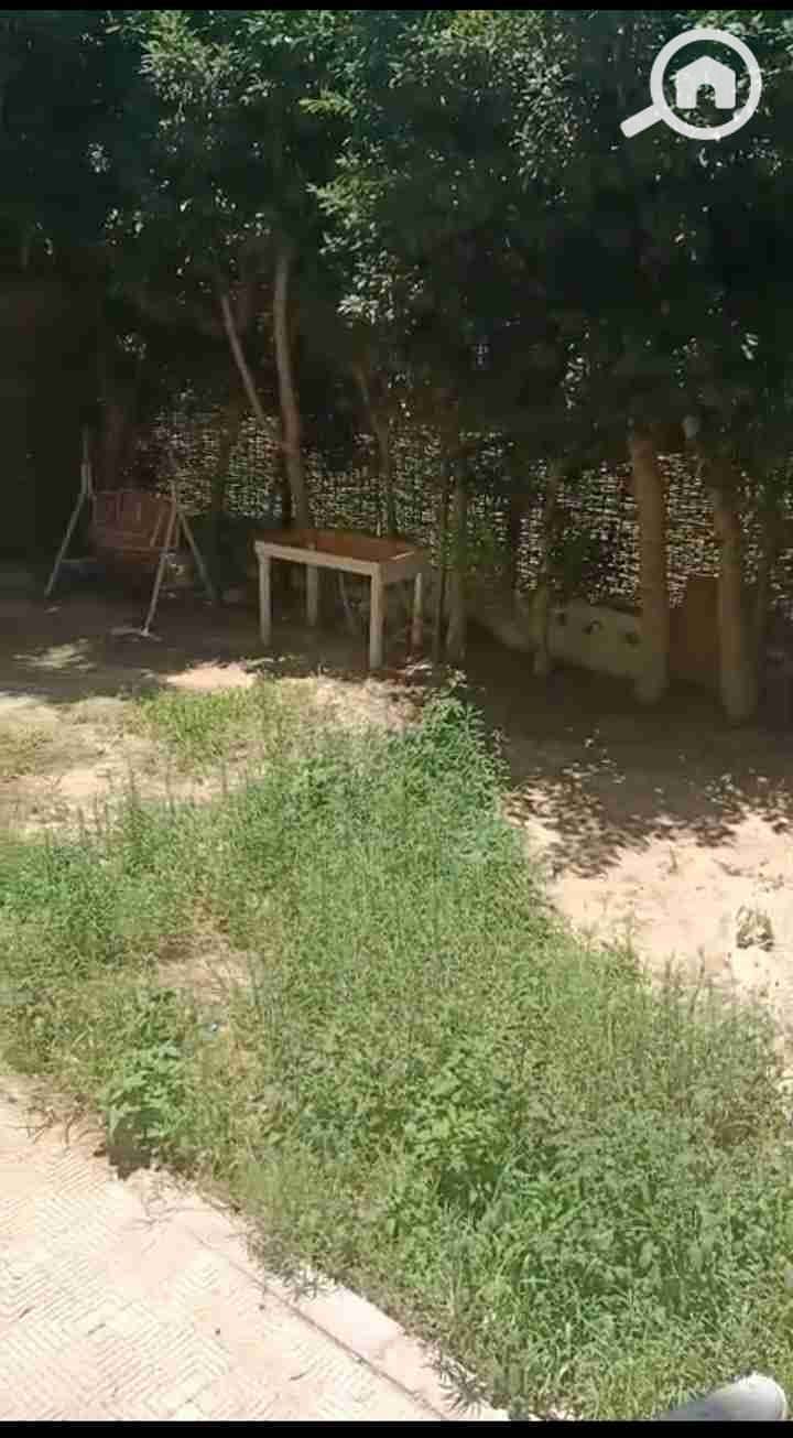 1000387882. jpg 1000387882. jpg